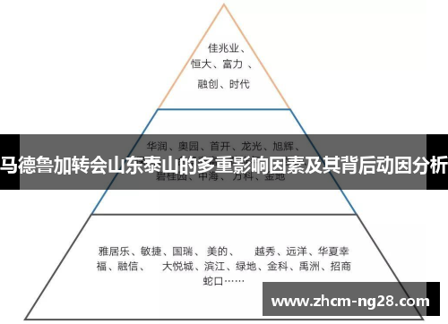 马德鲁加转会山东泰山的多重影响因素及其背后动因分析