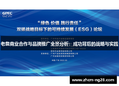 老詹商业合作与品牌推广全景分析：成功背后的战略与实践